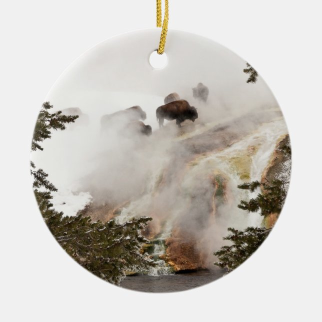 Yellowstone National Park is Amazing! Ceramic Tree Decoration (Front)