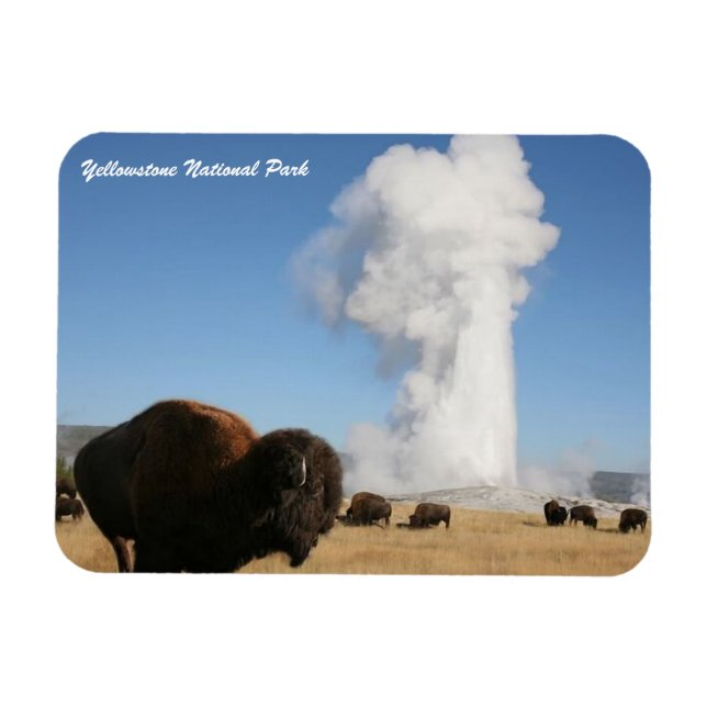 Yellowstone National Park Magnet (Horizontal)