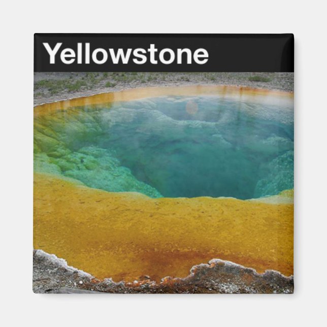 Yellowstone National Park Magnet (Front)