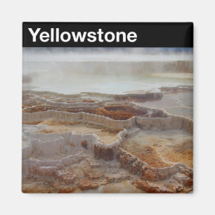 Yellowstone National Park Magnet