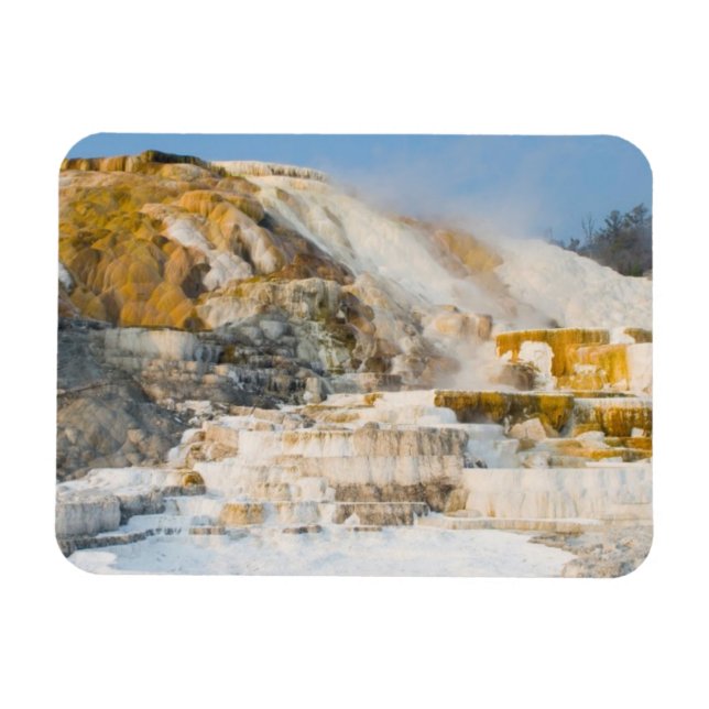 Yellowstone National Park Magnet (Horizontal)