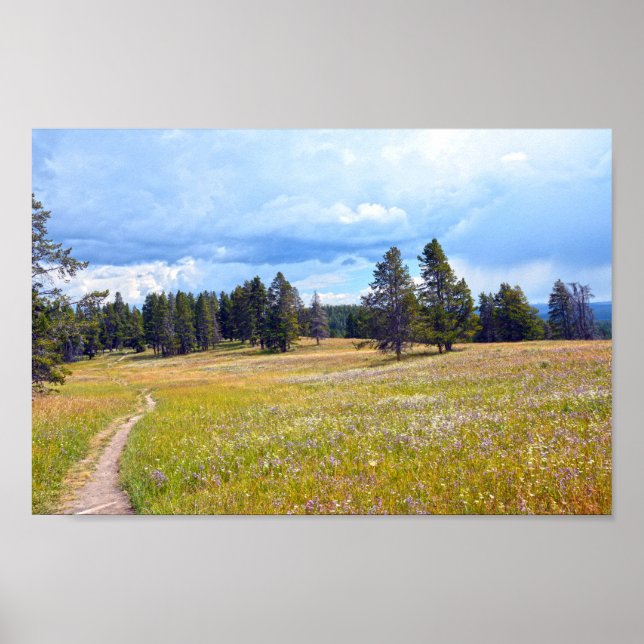 Yellowstone National Park Meadow Trail Poster (Front)