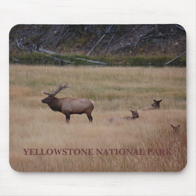 YELLOWSTONE NATIONAL PARK MOUSE PAD (Front)