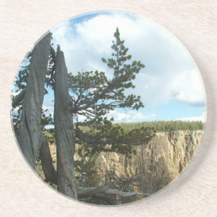 Yellowstone national park photography. coaster