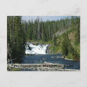 Yellowstone National Park Postcard