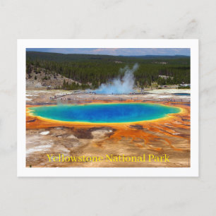 Yellowstone National Park Postcard