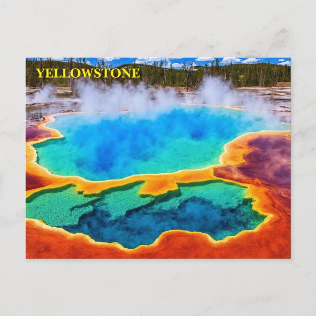 Yellowstone National Park Postcard (Front)