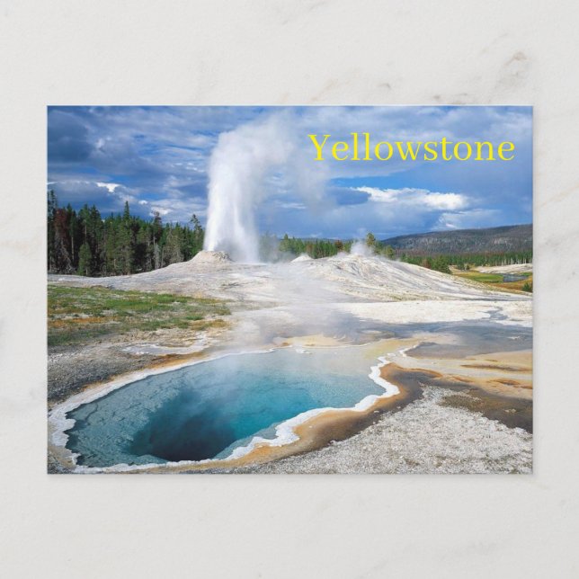 Yellowstone National Park Postcard (Front)