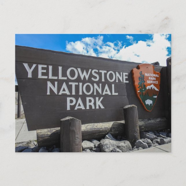 Yellowstone National Park Postcard (Front)