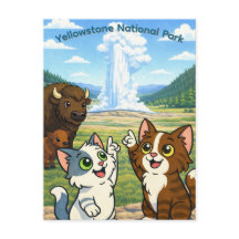 Yellowstone National Park Postcard