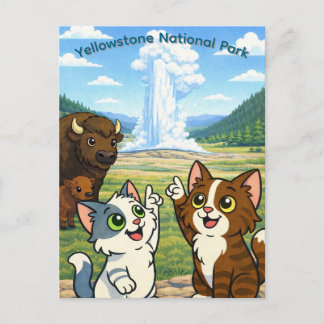 Yellowstone National Park Postcard