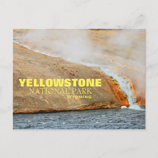 Yellowstone National Park Postcard (Front)