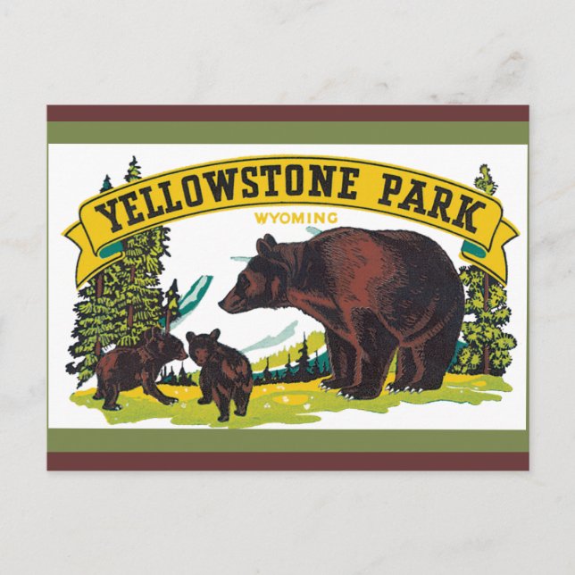 Yellowstone National Park Postcard (Front)