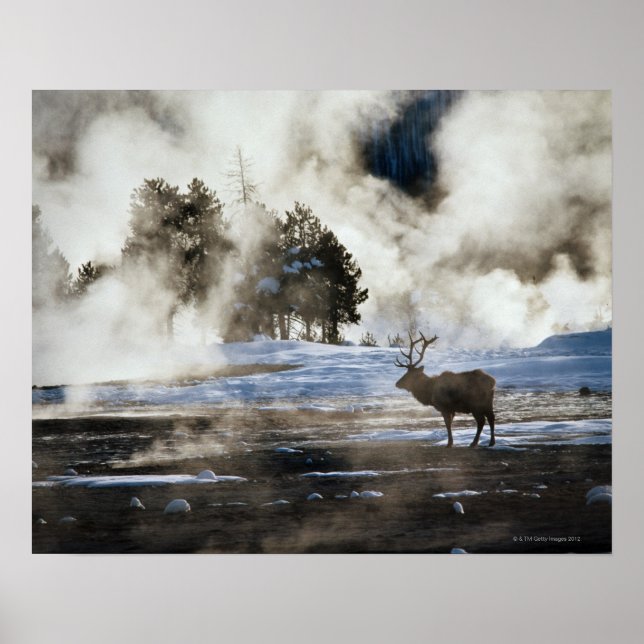 Yellowstone National Park Poster (Front)