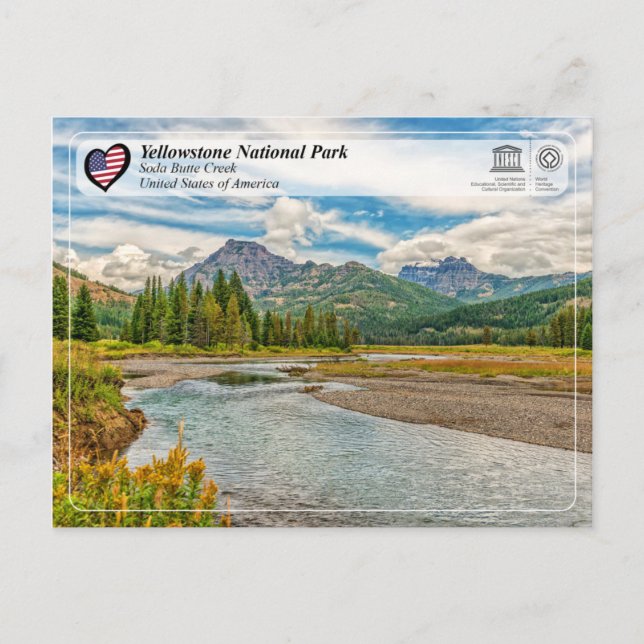 Yellowstone National Park - Soda Butte Creek Postcard (Front)