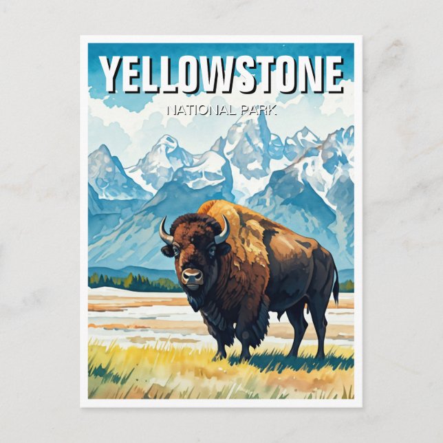 Yellowstone National Park Souvenir Postcard (Front)