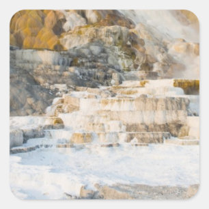 Yellowstone National Park Square Sticker