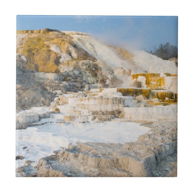 Yellowstone National Park Tile (Front)