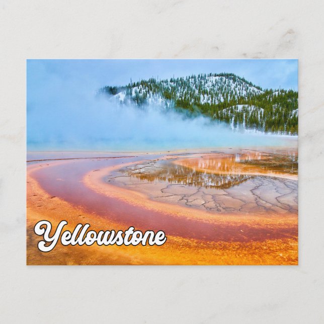 Yellowstone National Park, United States Postcard (Front)