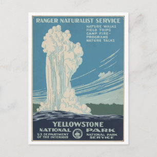Yellowstone National Park Vintage Postcard