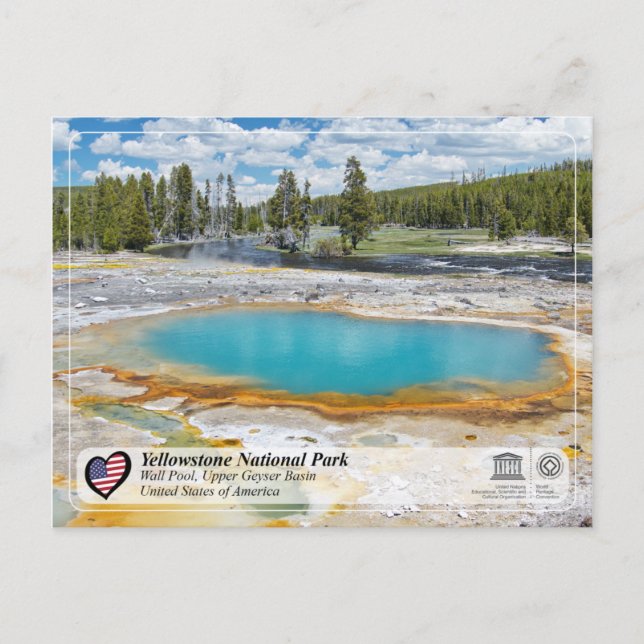 Yellowstone National Park - Wall Pool Postcard (Front)