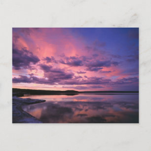 Yellowstone National Park, Wyoming. USA. Postcard