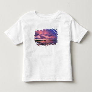 Yellowstone National Park, Wyoming. USA. Toddler T-Shirt