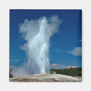 Yellowstone Old Faithful Landscape Photo Magnet