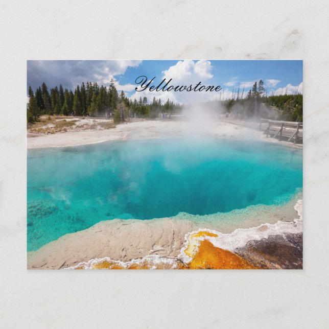 YELLOWSTONE POSTCARD (Front)