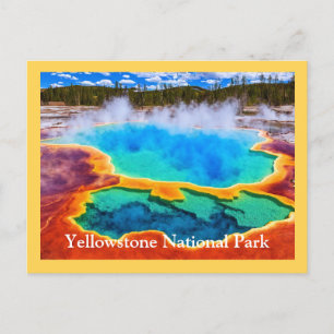 Yellowstone Postcard