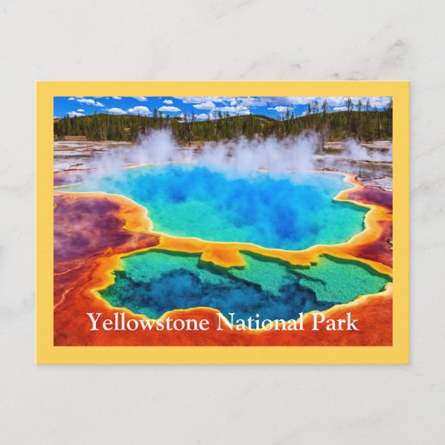 Yellowstone Postcard (Front)