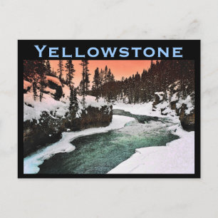 Yellowstone Postcard