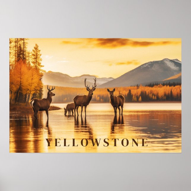 Yellowstone Poster Art  (Front)