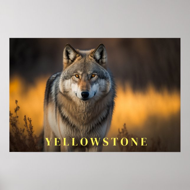 Yellowstone Poster Art  (Front)
