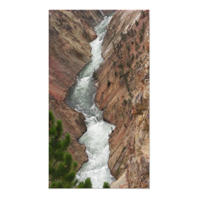 Yellowstone River Photo Print (Front)