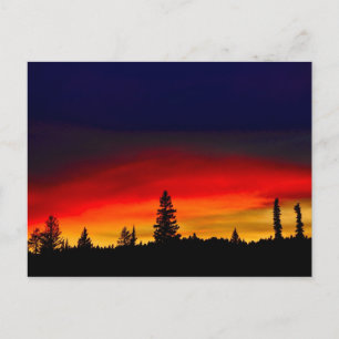 Yellowstone Sunset Postcard