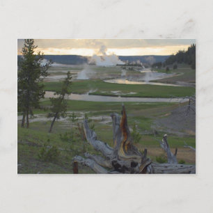 Yellowstone Sunsets Postcard