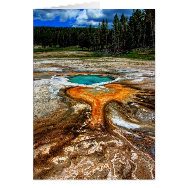 Yellowstone Thermal Pool (Front)
