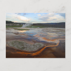Yellowstone Thermal Pools Postcard