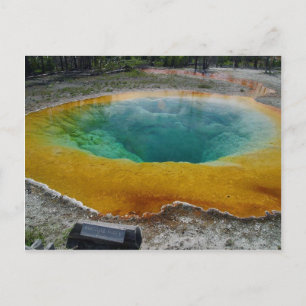 Yellowstone Thermal Spring In Morning Postcard