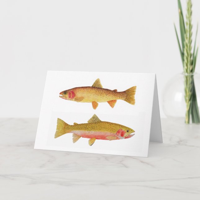 Yellowstone & Westslope Cutthroat Trout Card (Front)