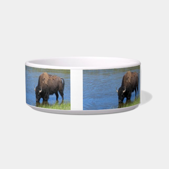Yellowstone Wild Buffalo in Pond Bowl (Right)