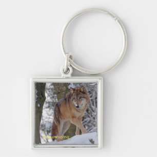 Yellowstone Wolf Key Chain