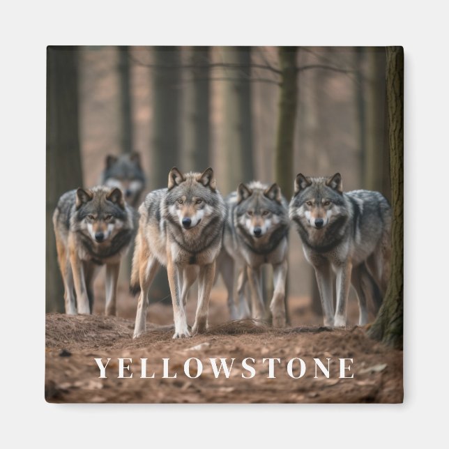 Yellowstone Wolf Magnet (Front)