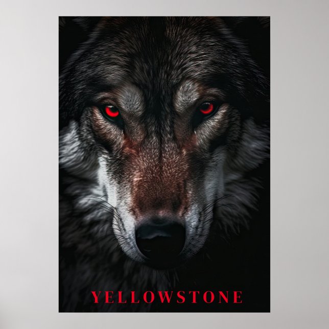 Yellowstone Wolf Poster Art  (Front)
