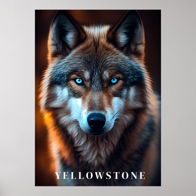 Yellowstone Wolf Poster Art  (Front)