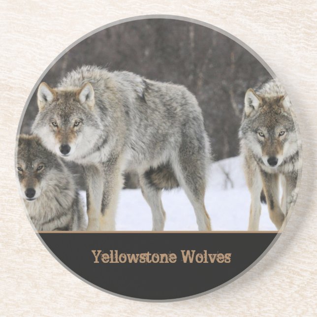 Yellowstone Wolves Sandstone Coaster (Front)