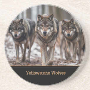 Yellowstone Wolves Sandstone Coaster
