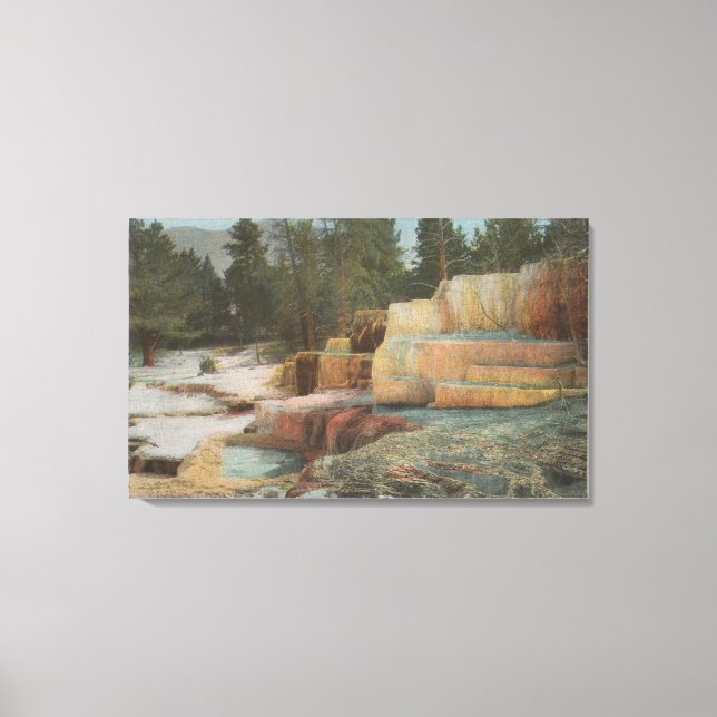 Yellowstone, WYView of Angel Terrace Canvas Print (Front)