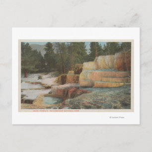 Yellowstone, WYView of Angel Terrace Postcard